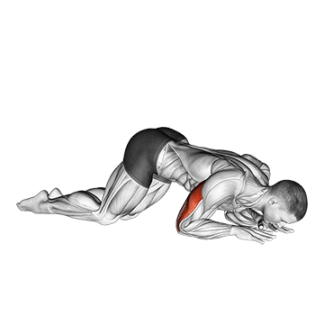 How to do Bodyweight Kneeling Triceps Extension — animated demonstration