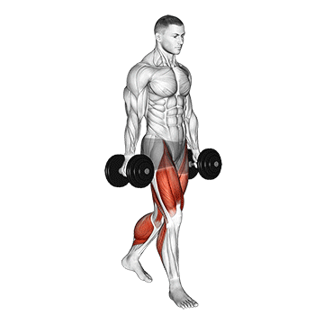 How to do Dumbbell Farmers Walk — animated demonstration