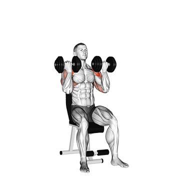 How to do Dumbbell Arnold Press — animated demonstration