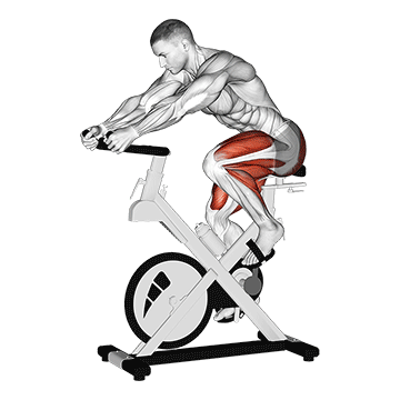 How to do Stationary Bike — animated demonstration