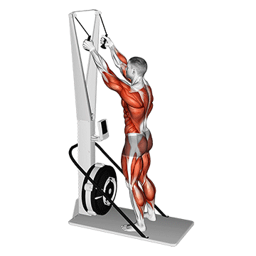 How to do Ski Ergometer — animated demonstration