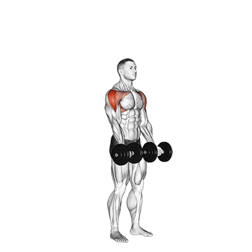 How to do Dumbbell Standing Around World — animated demonstration