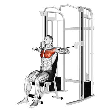 How to do Cable Seated Chest Press — animated demonstration