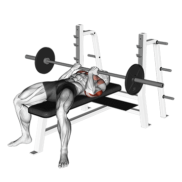 How to do Barbell Reverse Close-Grip Bench Press — animated demonstration