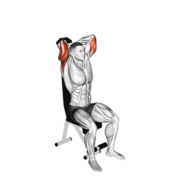 How to do Dumbbell Seated Triceps Extension — animated demonstration