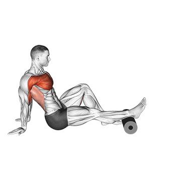 How to do Single-Leg Seated Foam Roller Shoulder Mobility — animated demonstration
