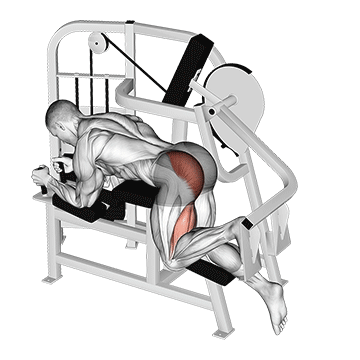 How to do Lever Hip Extension — animated demonstration