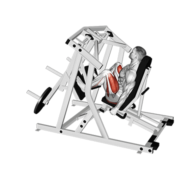 How to do Lever Alternating Leg Press — animated demonstration