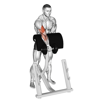 How to do Dumbbell Standing Zottman Preacher Curl — animated demonstration