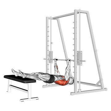 How to do Inverted Row on Bench — animated demonstration