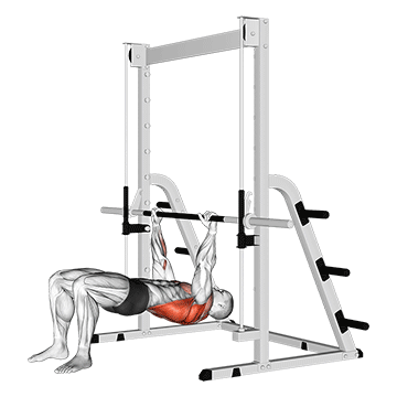 How to do Inverted Row Bent Knees — animated demonstration