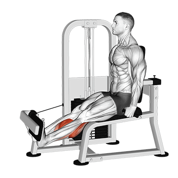 How to do Lever Rotary Calf — animated demonstration