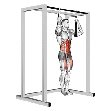 How to do Arm Slingers Hanging Straight Legs — animated demonstration