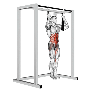 How to do Arm Slingers Hanging Bent Knee Legs — animated demonstration