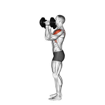 How to do Dumbbell Scott Press — animated demonstration