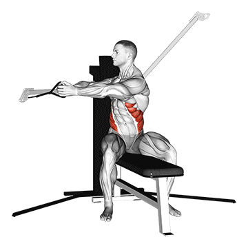 How to do Cable Seated Twist — animated demonstration
