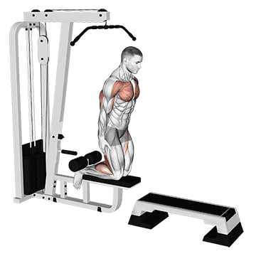 How to do Cable Machine Inverse Leg Curl — animated demonstration