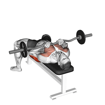 How to do EZ-Bar Close-Grip Bench Press — animated demonstration