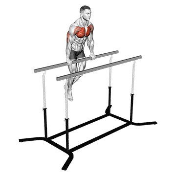 How to do Chest Dip on Straight Bar — animated demonstration