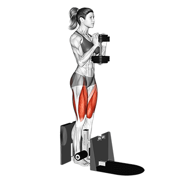 How to do Dumbbell Supported Squat — animated demonstration
