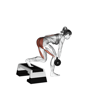 How to do Supported Single-Leg Dumbbell Deadlift — animated demonstration