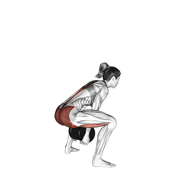 How to do Dumbbell Sumo Pull-Through — animated demonstration
