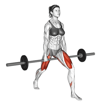 How to do Barbell Split Squat — animated demonstration