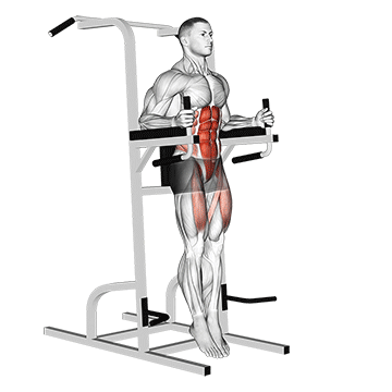 How to do Captains Chair Straight Leg Raise — animated demonstration