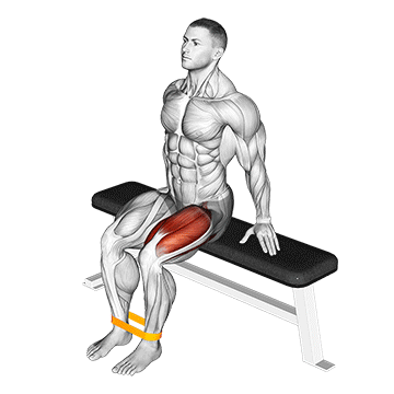 How to do Band Leg Extension — animated demonstration