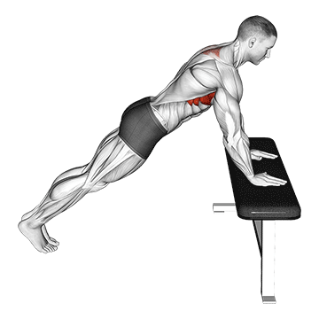 How to do Incline Scapula Push-Up — animated demonstration