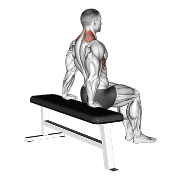 How to do Scapula Dips — animated demonstration