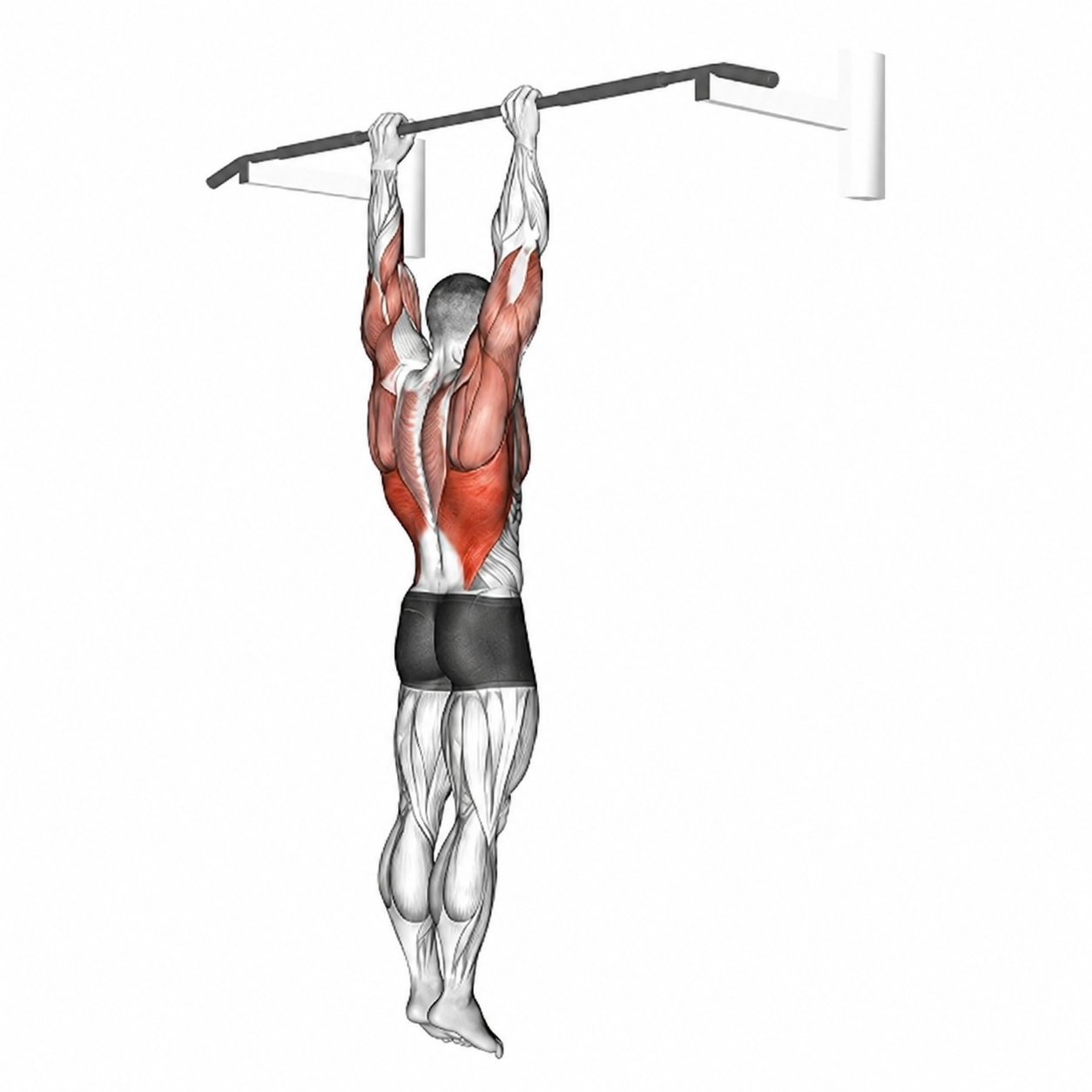 How to do Dead Hang — animated demonstration