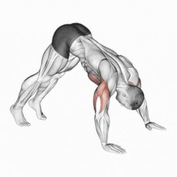 How to do Pike Push-Up — animated demonstration