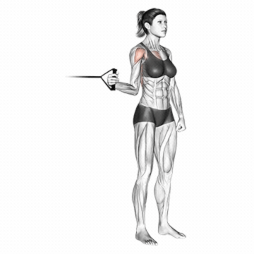 How to do Cable Standing Shoulder Internal Rotation — animated demonstration