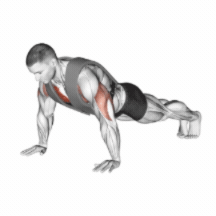 How to do Weighted Push-Up — animated demonstration
