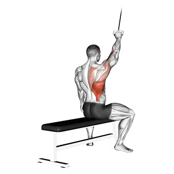 Alternating Cable Lat Pulldown
