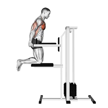 Kneeling Assisted Chest Dip