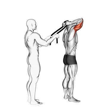 Standing Towel Triceps Extension