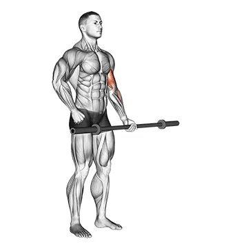 Barbell Alternating Biceps Curl