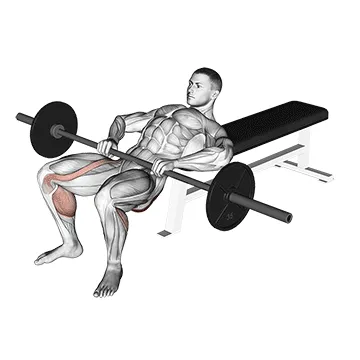 Barbell Hip Thrust