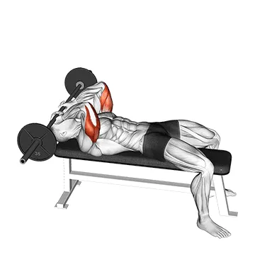 Lying Barbell Skull Crusher