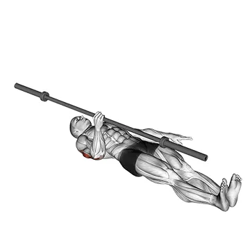 Barbell Single-Arm Floor Press