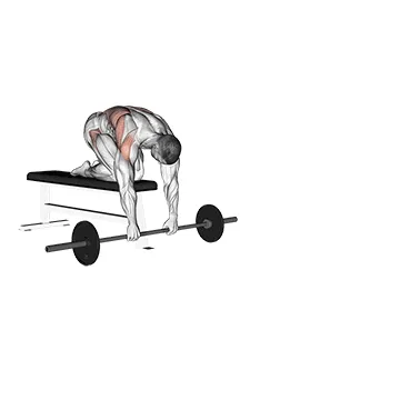 Barbell Rollout From Bench