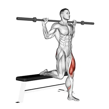 Barbell Bulgarian Split Squat