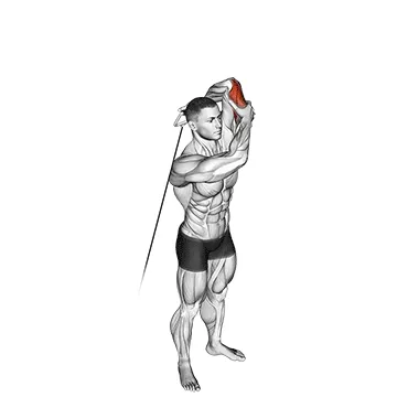 Cable Alternating Triceps Extension