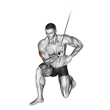 Single-Arm Cable Concentration Extension