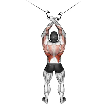 Crossover Cable Lat Pulldown