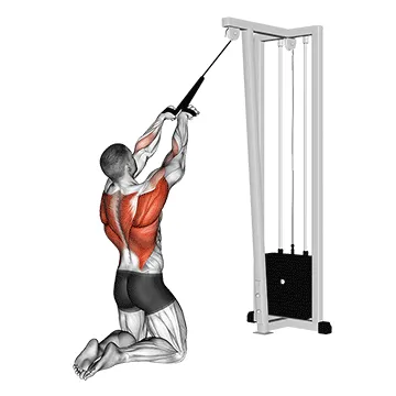 Kneeling Cable High Row