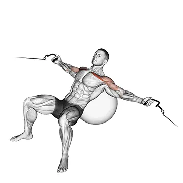 Stability Ball Incline Cable Fly