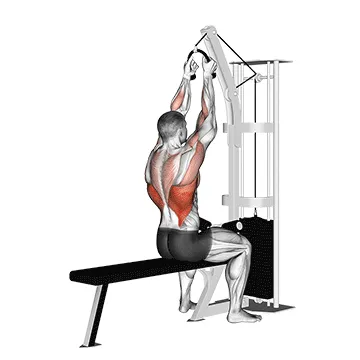 Cable Lat Pulldown (Rope)